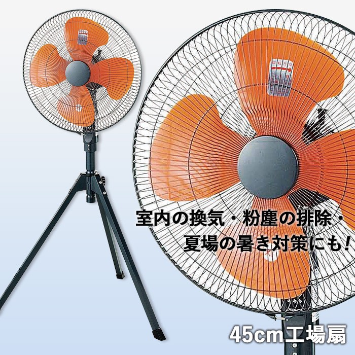 88950014-1.jpg