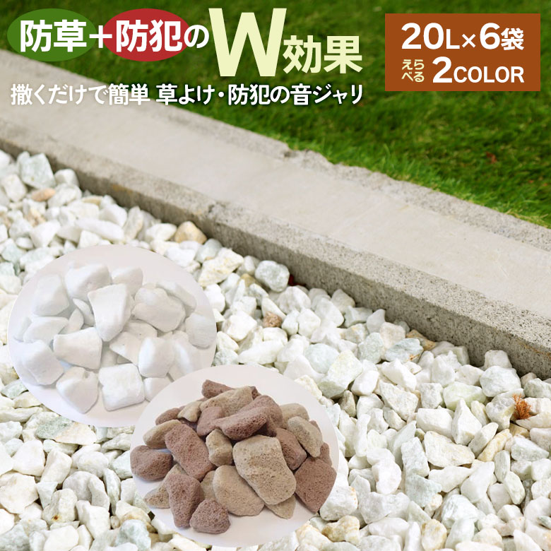 TŊȒP 悯EhƂ̉W 20L×6 p[zCg ~bNXuE  ΍ Z 뉀 K[fjO GNXeA  h G ATm