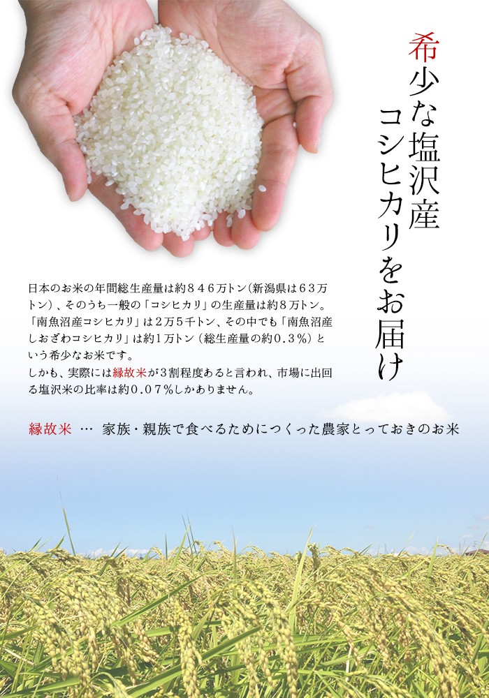 新米 令和6年度産 お米 こしひかり コシヒカリ 南魚沼産 武右衛門 無 