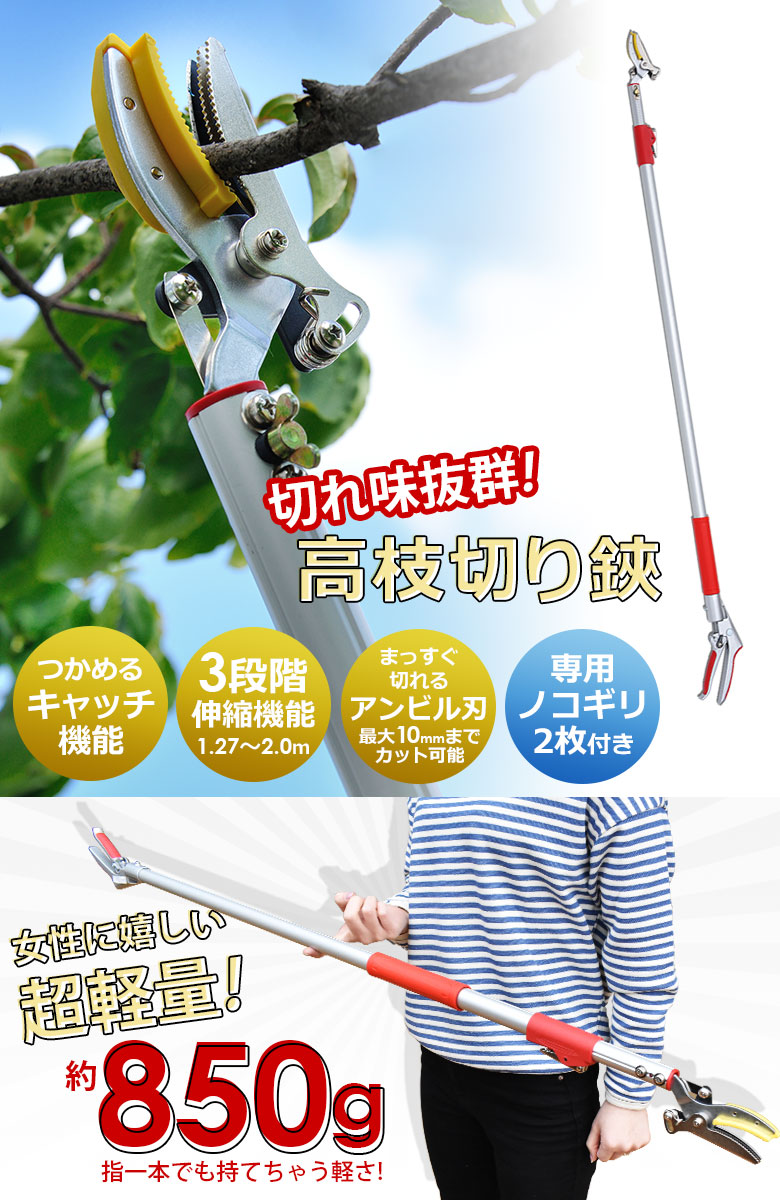 高枝切りバサミ 高枝切鋏 ※選べるオマケ付き※ のこぎり2枚付き 3段伸縮式高枝切り鋏 高枝切りばさみ 剪定ばさみ 高枝切り 2m 軽量 鋸替刃  :KWI-CP2M-2:ワクイショップ - 通販 - Yahoo!ショッピング