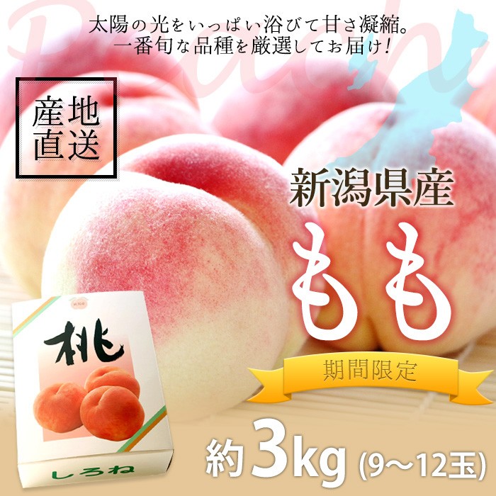 桃 約3kg（9〜12玉） 夏季限定：8月中旬〜下旬お届けのみ 白桃