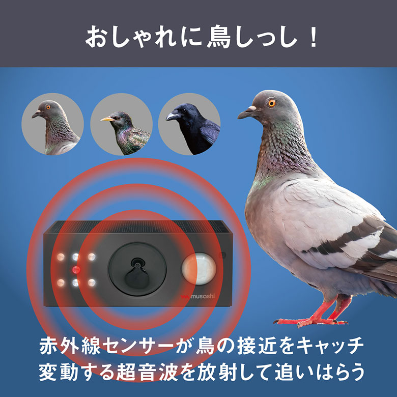 新発売 ムサシ ソーラー鳥しっし（REP-700） 超音波 ハト 鳩 カラス からす 烏 害鳥対策 害獣 防獣 屋外 畑 花壇 ソーラー発電 太陽光  USB充電