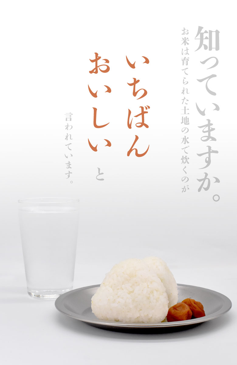 【6月発送予定】【米2kgと水2L 新潟県産お米と水のセット】 新潟県三条市旧下田村産 こしひかり コシヒカリ 水セット 2kg 2L｜wakui-shop｜02