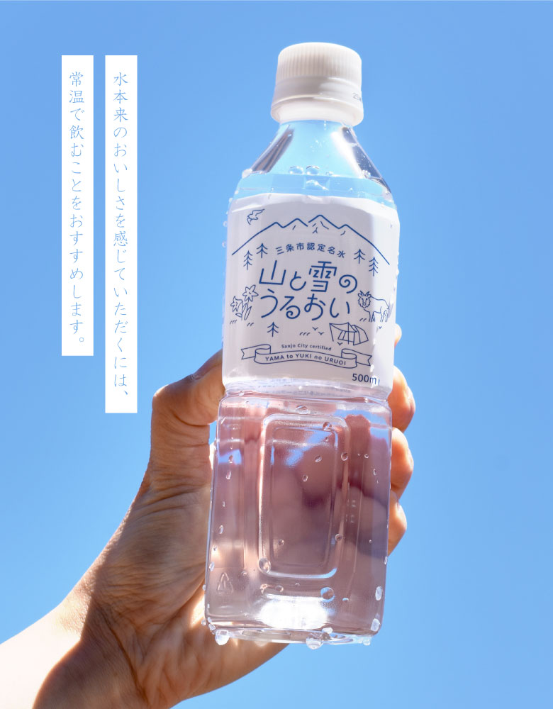 山と雪のうるおい500ml×24本】 ナチュラル ミネラルウォーター 新潟県