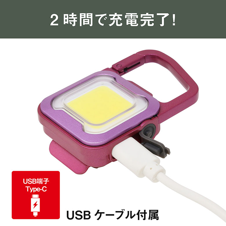 新発売 ムサシ 充電式ぴかり MINI LIGHT USB充電 コンパクト 携帯 小型 アウトドア キャンプ COB 作業灯 カラビナフック付き マグネット メール便｜wakui-shop｜09