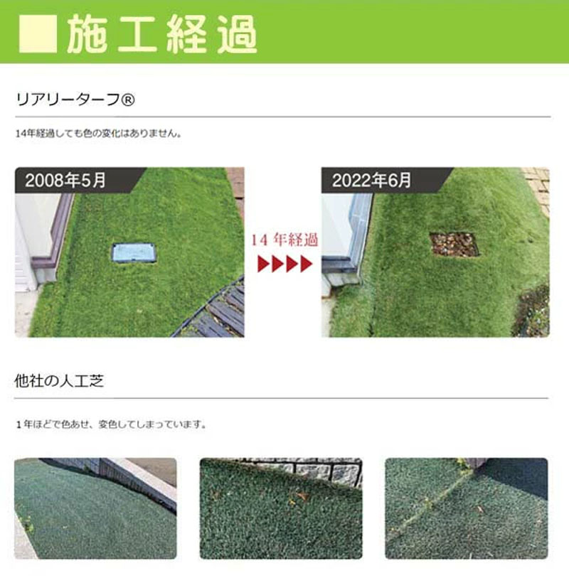 人工芝 リアリーターフ ショート 2M×5M パイル長16mm 抗菌 防炎