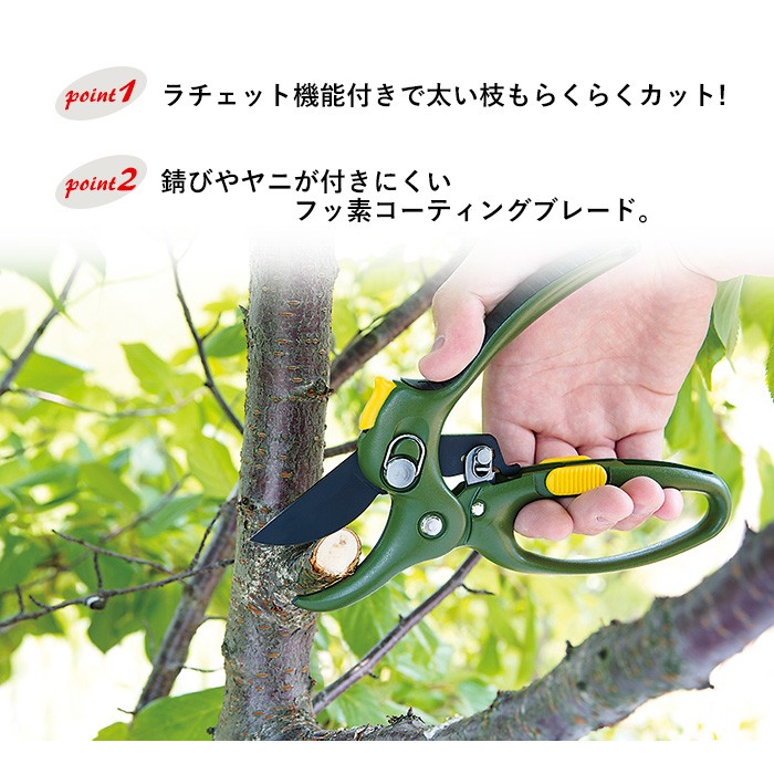 ガーデニング パワーアップ剪定鋏（替刃式）（SGS-30） 剪定鋏 剪定ば