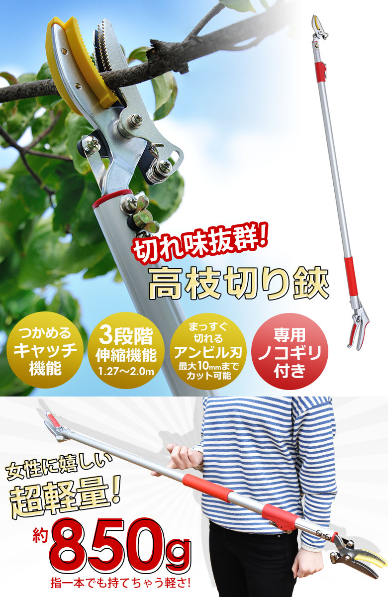 高枝切りバサミ 高枝切鋏 ※選べるオマケ付き※ 3段伸縮式 高枝切りばさみ のこぎり付き 剪定ばさみ 高枝切り 2m 軽量 鋸替刃  :KWI-CP2M:ワクイショップガーデニング専門店 - 通販 - Yahoo!ショッピング