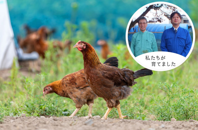 白神地鶏鍋