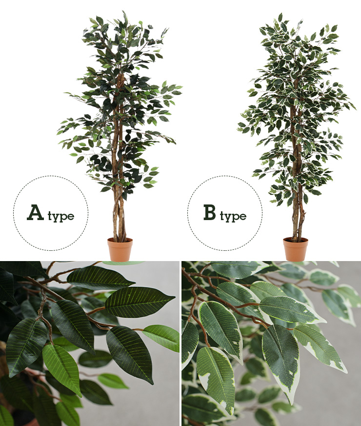 人工観葉植物 フェイクグリーン Ficuse(フィカス) 690 H150cm・H160cm