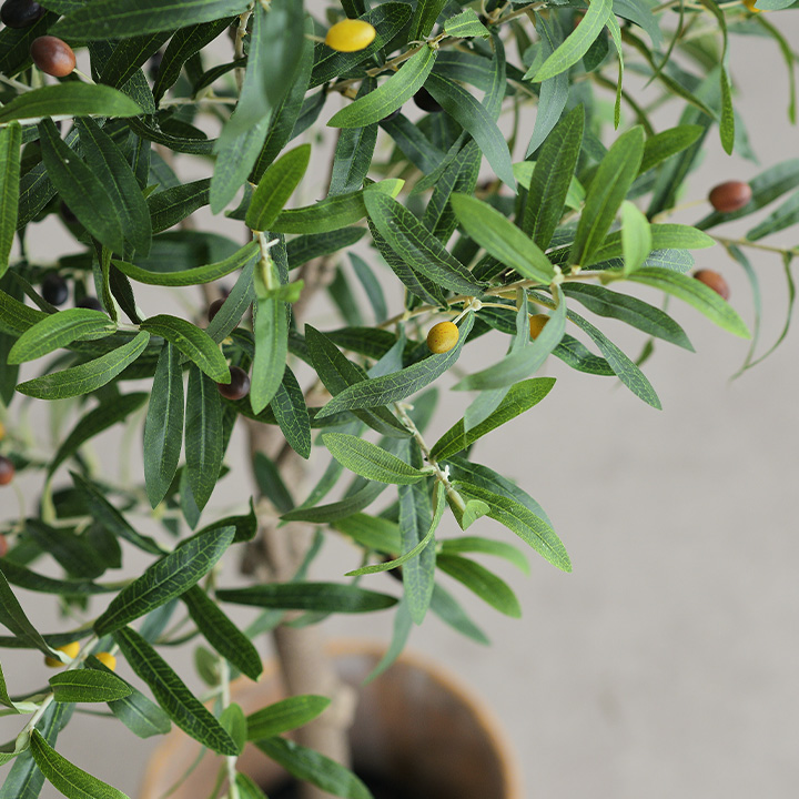 人工観葉植物 フェイクグリーン OLIVE(オリーブ) GRN-17 H152cm 人工植物 観葉植物 おしゃれ フェイク 造花 大型 グリーン オリーブの木 インテリア｜wakuwaku-land｜02