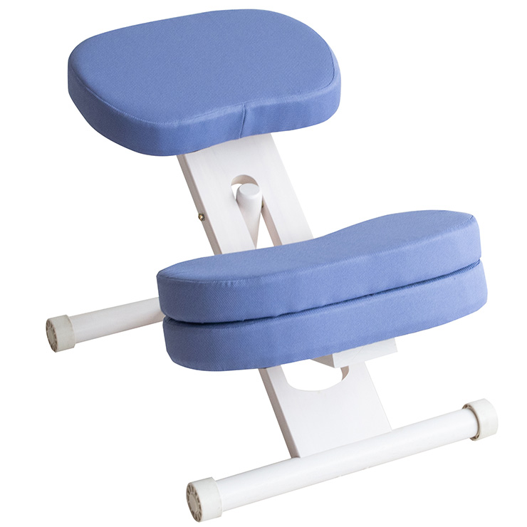 プロポーションチェア キッズ バランスチェア CH-889CK CH-N889CK 学習