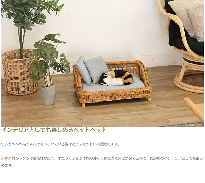 フクちゃんページ②ラタンベッド 楽天市場】ラタン ベッドの通販