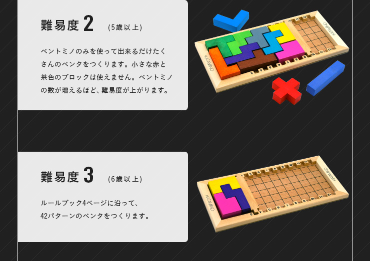 知育玩具 木製 木製玩具 こども キッズ ボードゲーム 脳力パズル 知育