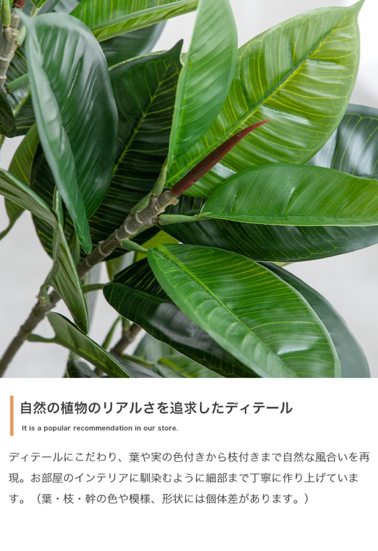 DT フェイクグリーン 観葉植物 大型 高さ150cm 光触媒 人工観葉植物