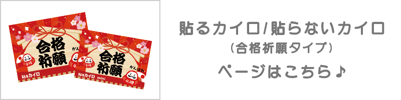 合格祈願タイプカイロはこちら