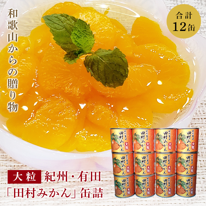 みかん 缶詰 フルーツ 缶 国産みかん缶 紀州有田 田村みかん 大粒使用