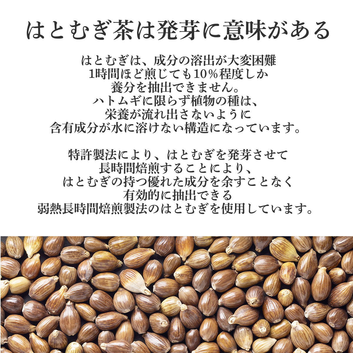 【はとむぎ】アニマルパック(44パック入り) 220520_hh_lp04.jpg