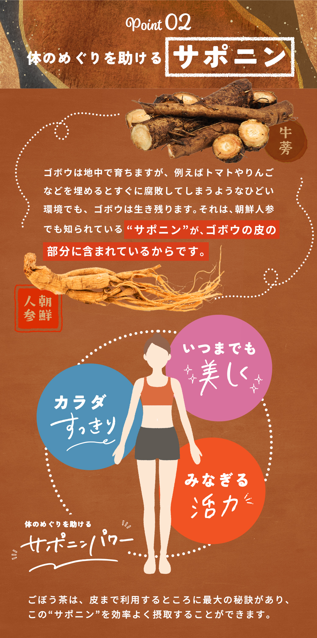 ごぼう桑茶 100包