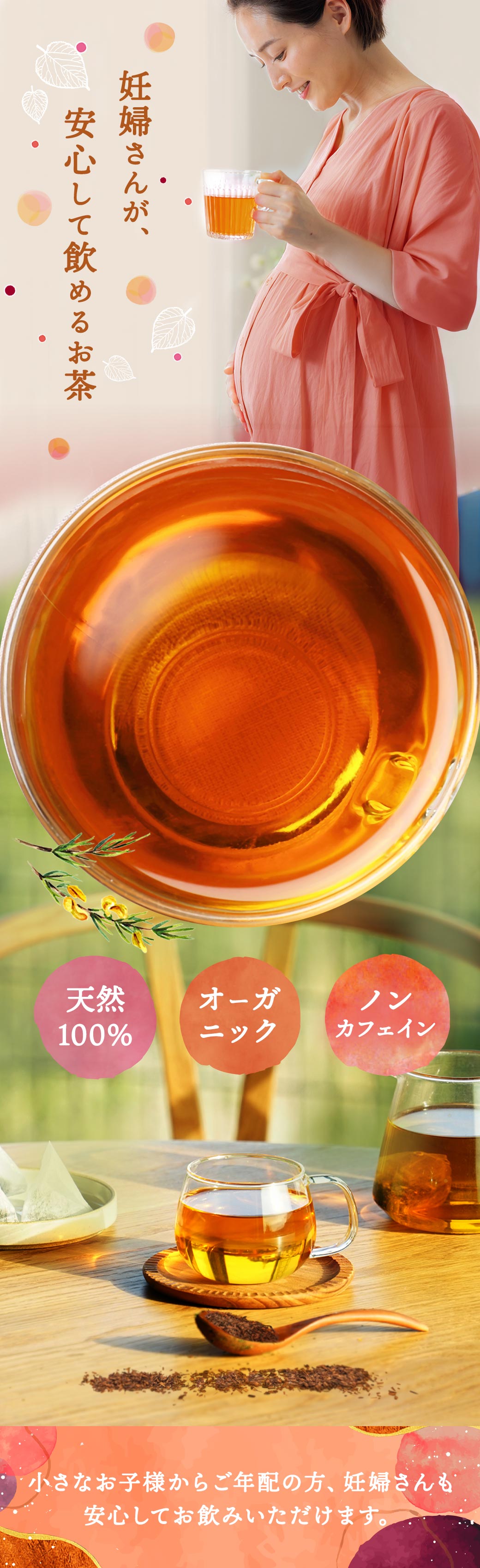 有機ルイボスティー 100包
