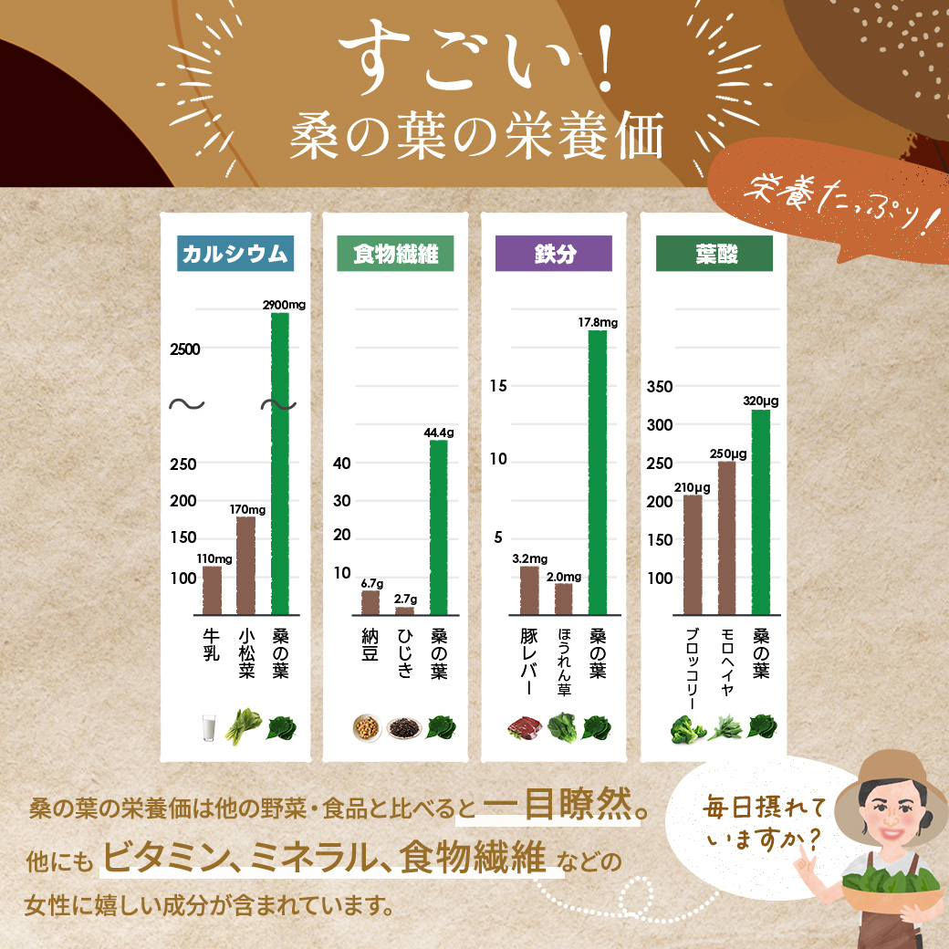 ごぼう桑茶 100包