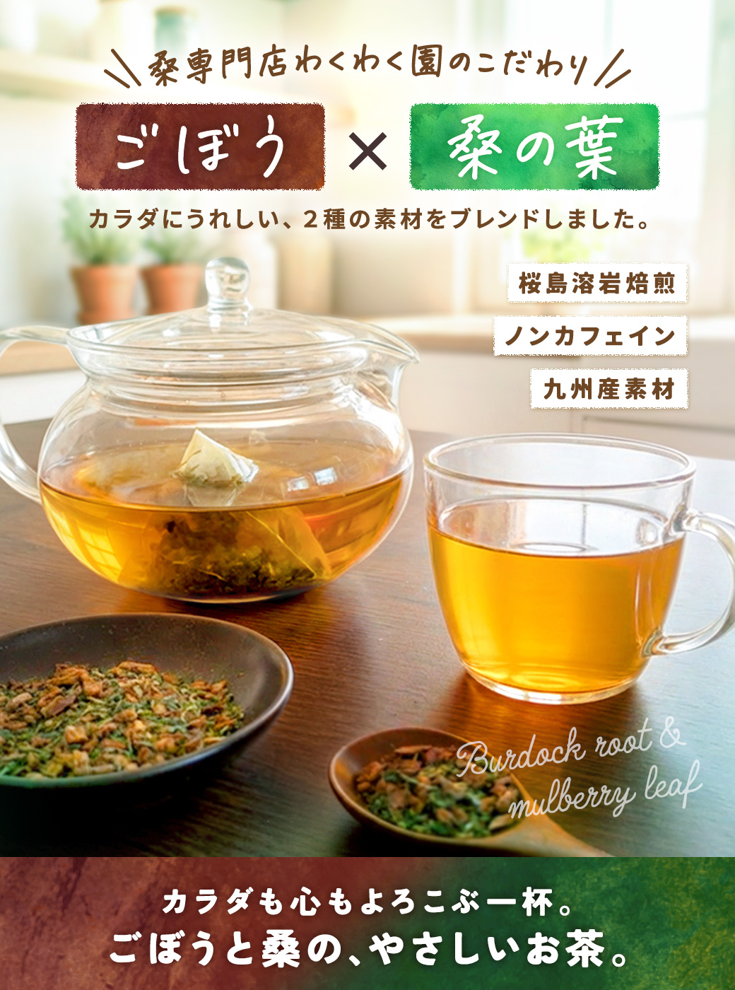 ごぼう桑茶 100包