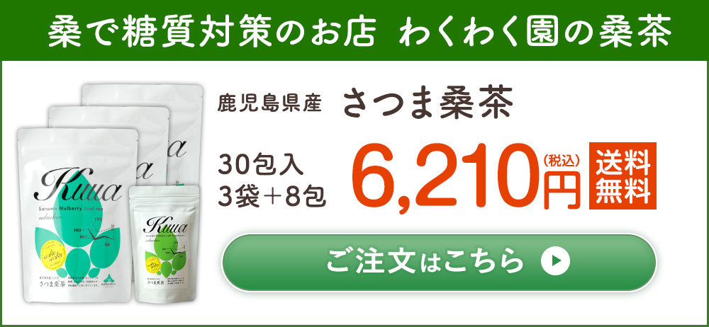 桑の葉茶 さつま桑茶 (2g×30包) 鹿児島県産 自社栽培 桑茶 茶葉
