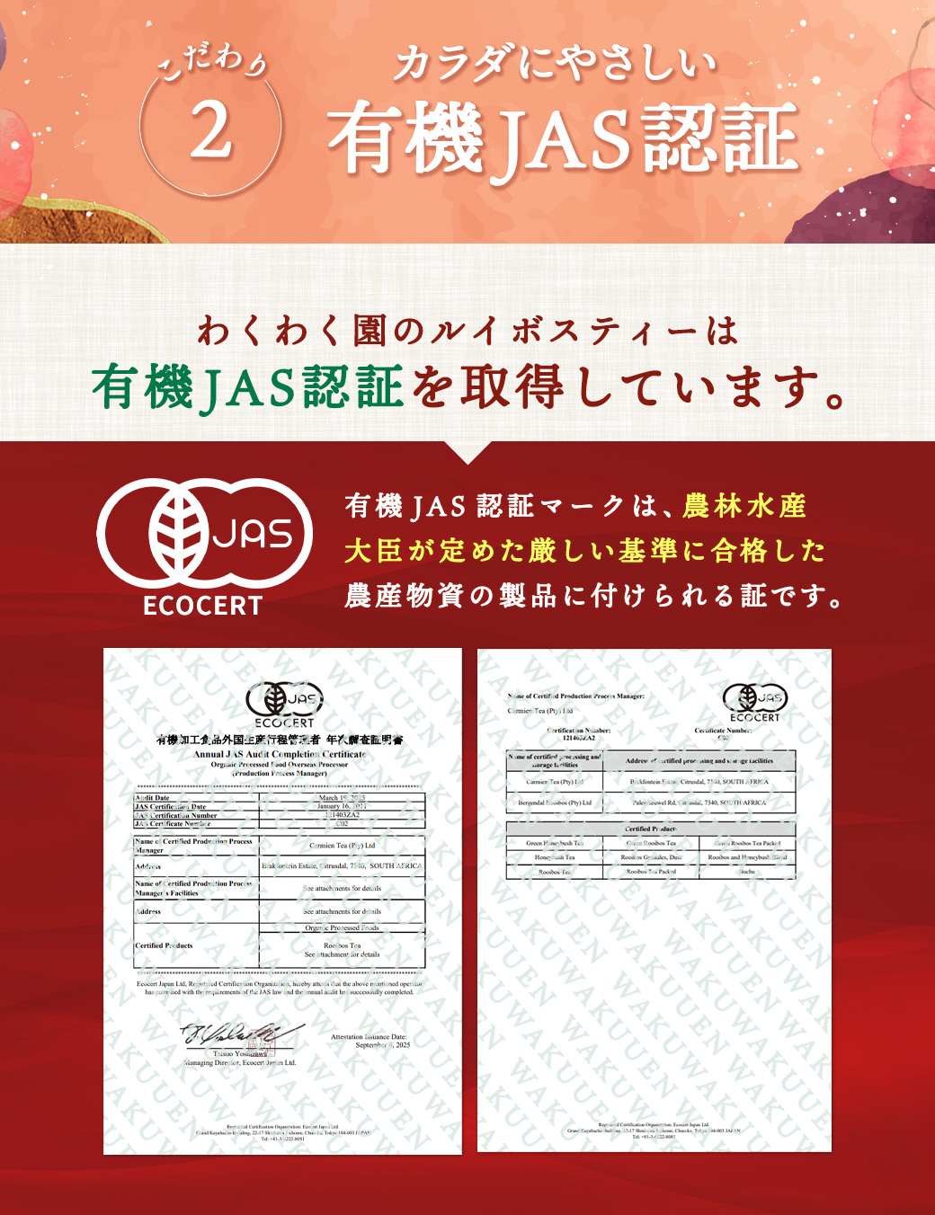有機ルイボスティー 100包