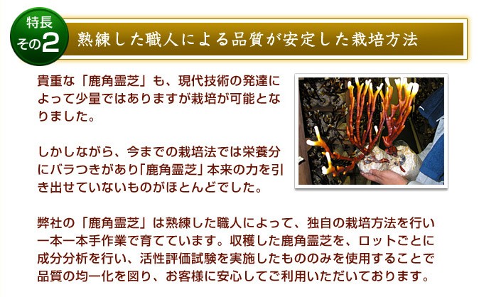 サプリメント サプリメント B グルカン ガノデリン酸 鹿角霊芝 ろっかくれいし 熊本産 約１カ月分 93カプセル Rokkaku 93 2 わくわく健康倶楽部 通販 Yahoo ショッピング