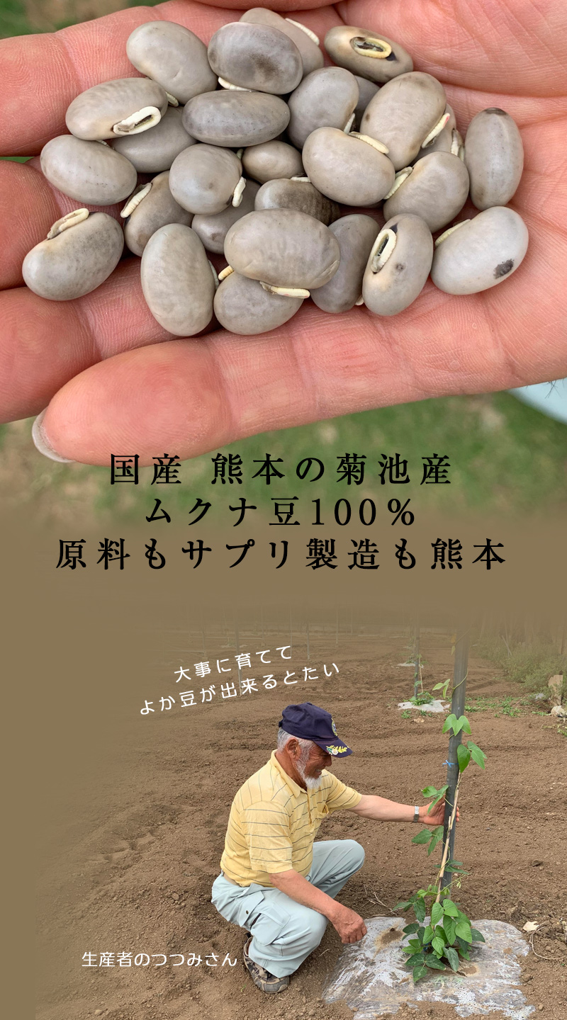 サプリ ムクナ豆カプセル（八升豆） 熊本産 送料無料 （30cp×2袋）国産