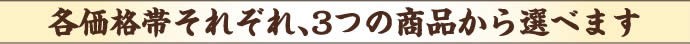 各価格帯それぞれ、3つの商品から選べます