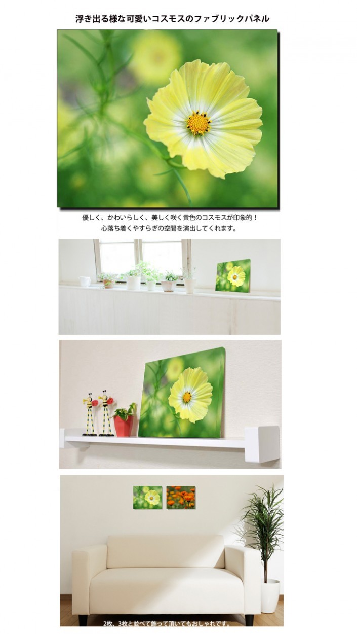 アートパネル 花のファブリックパネル 玄関インテリア コスモス