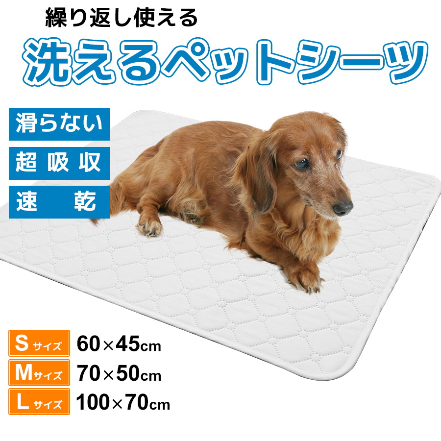 ペットシーツ 洗えるペットシーツ 2枚セット ペットマット 猫 犬