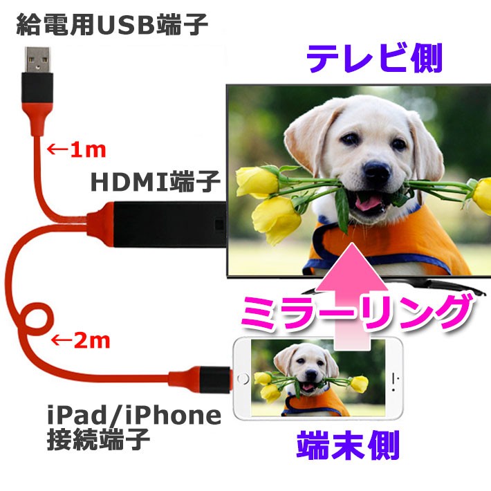 HDMI iPhone TV テレビ 接続