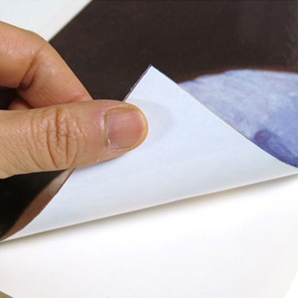 ウォールステッカー 真珠の耳飾りの少女 接吻