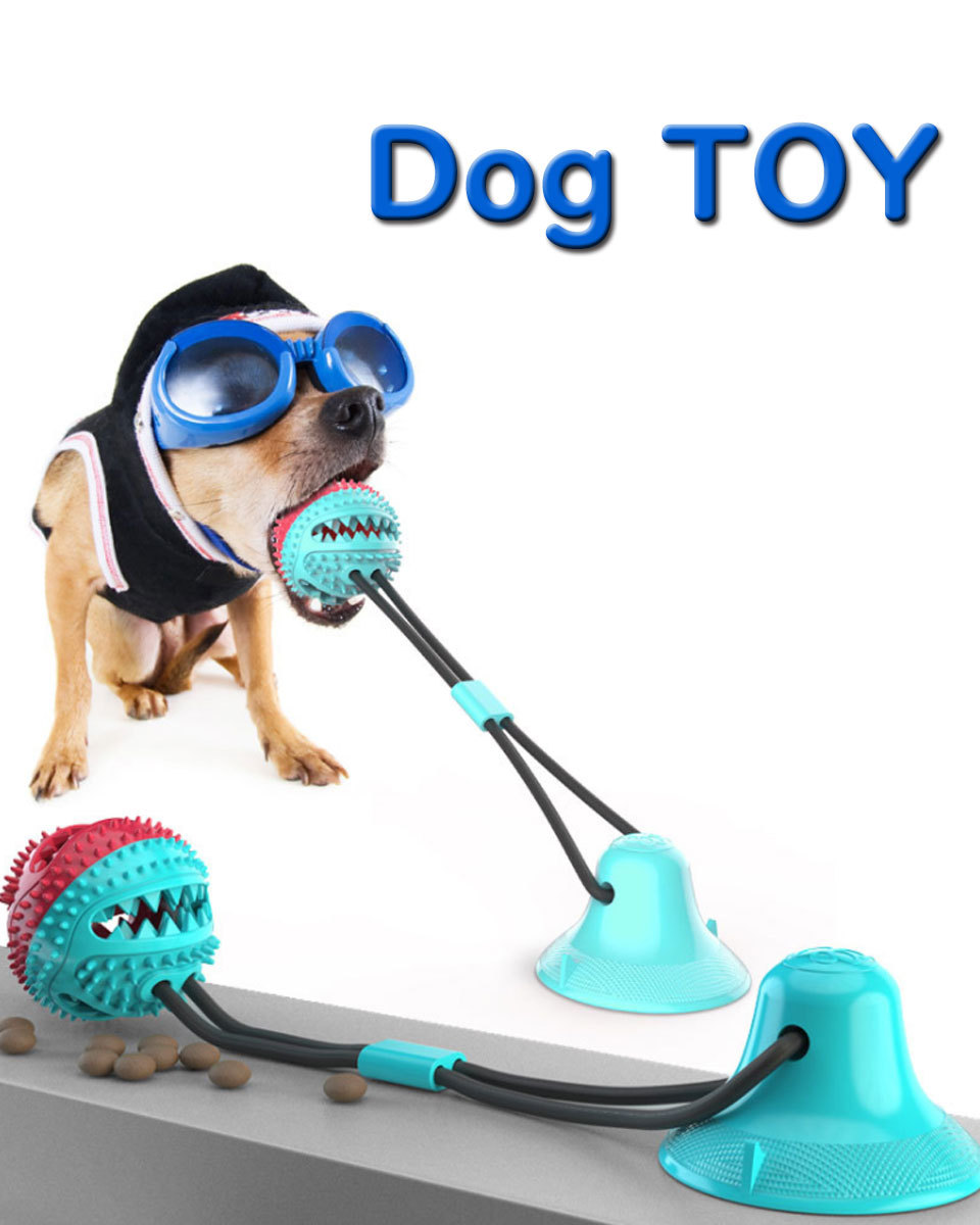 犬 知育玩具 知育おもちゃ ボール ロープ 歯磨き 歯ブラシ 歯石