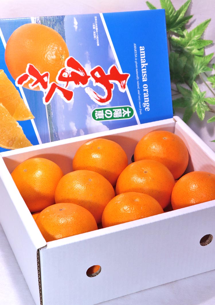 JAからつ 天草