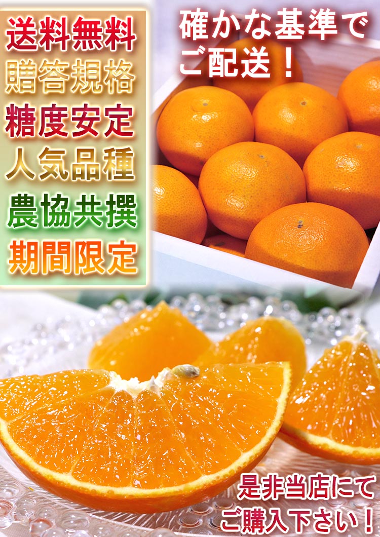 ギフト 果物