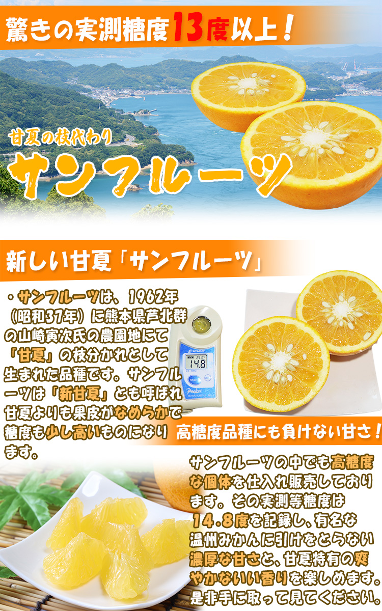 サンフルーツ 愛媛