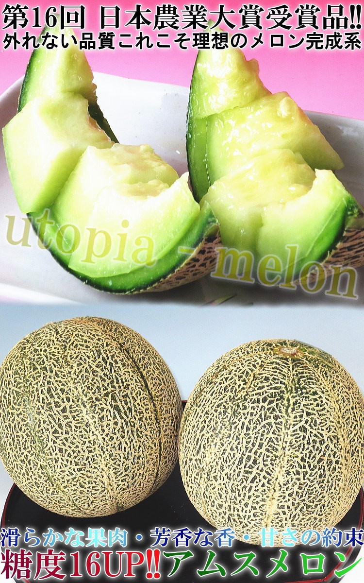 まさよ様限定⭐⭐千葉県産　銚子のアムスメロン　Ｌサイズ13玉　１玉約1キロ まさよ様限定千葉県産 銚子のアムスメロン Lサイズ13玉