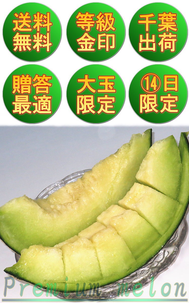 銚子アムスメロン 約6kg 2〜6玉入り 千葉県産 贈答規格 JAちばみどり 