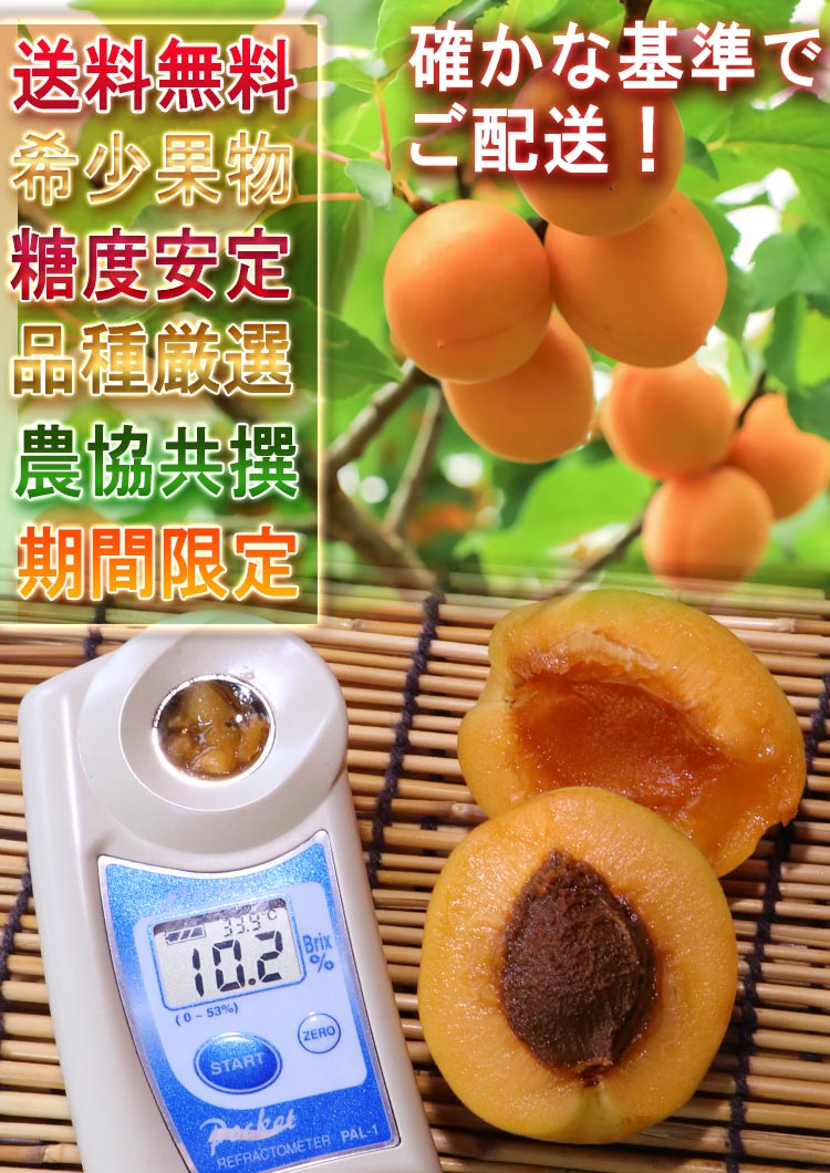 生あんず 果物