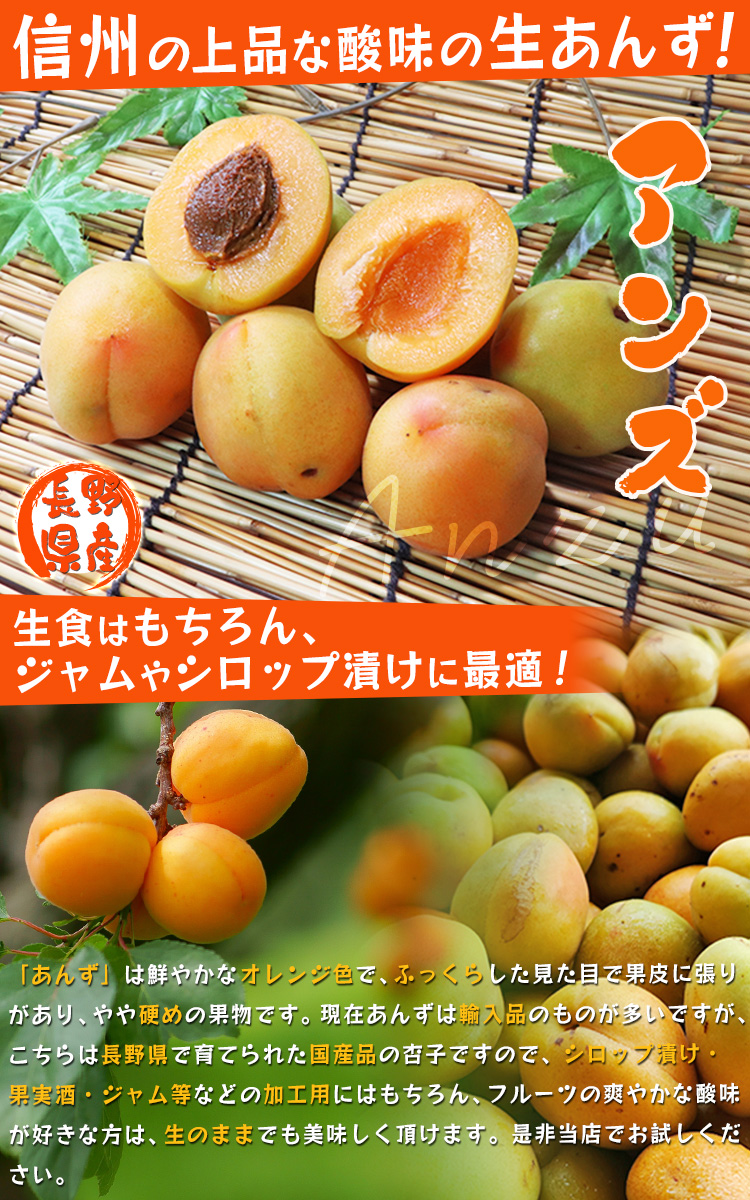 あんず 長野県