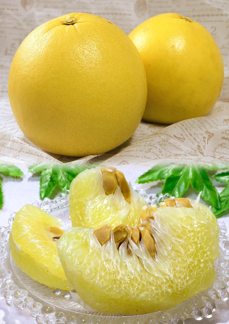 晩白柚 ばんぺいゆ 約4〜5kg 2〜5玉 熊本県産 秀品 ハウス栽培 柑橘
