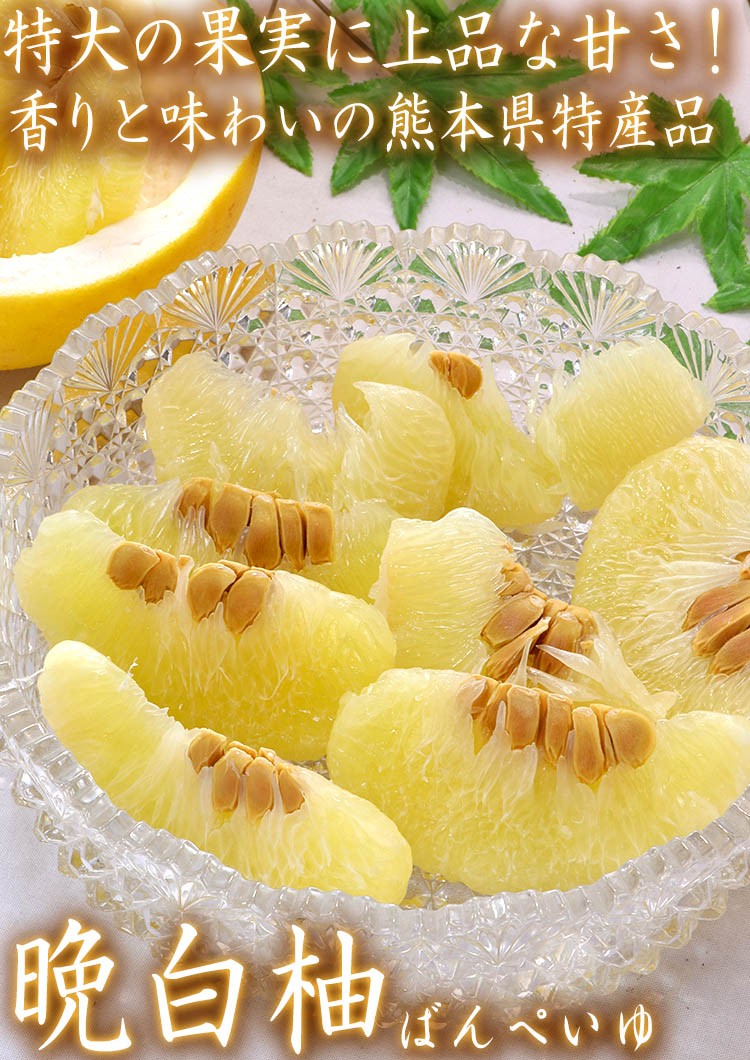 晩白柚 ばんぺいゆ 約4〜5kg 2〜5玉 熊本県産 秀品 ハウス栽培 柑橘