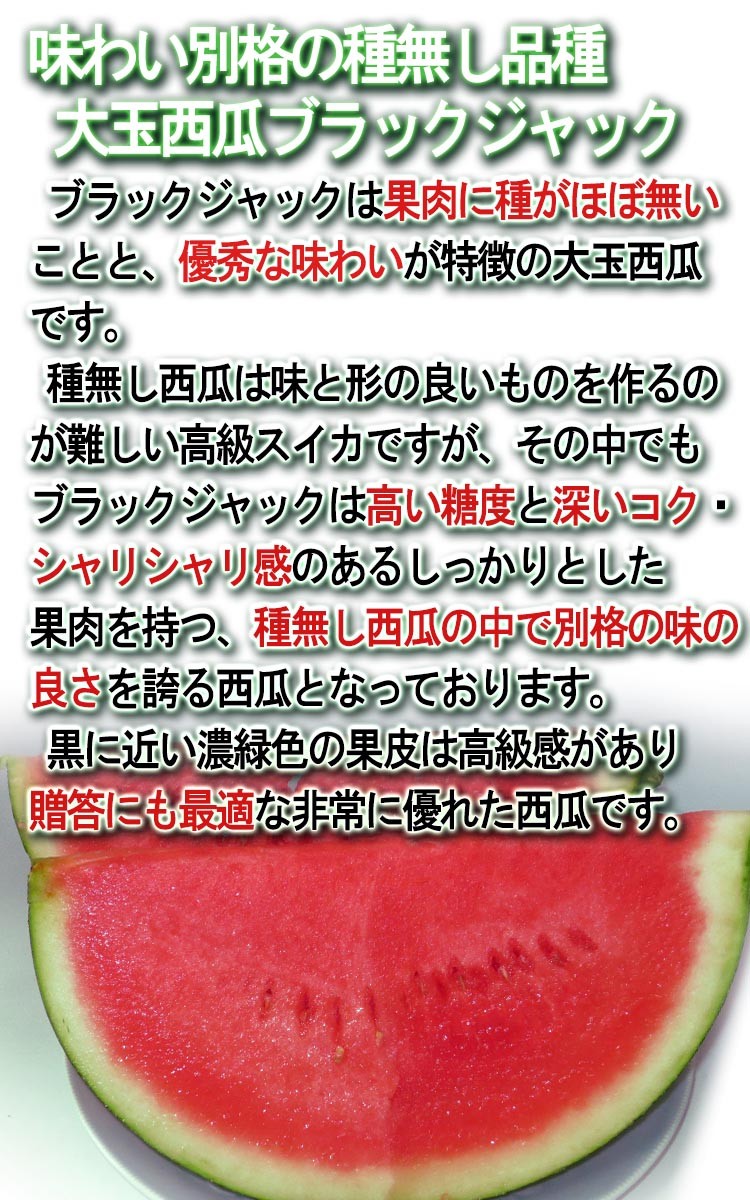 0627千葉県産富里大玉スイカブラックジャック規格外品4Lサイズ1箱2玉入り 楽天市場】【県知事賞受賞】黒皮大玉 種無しスイカ 6〜7kg L