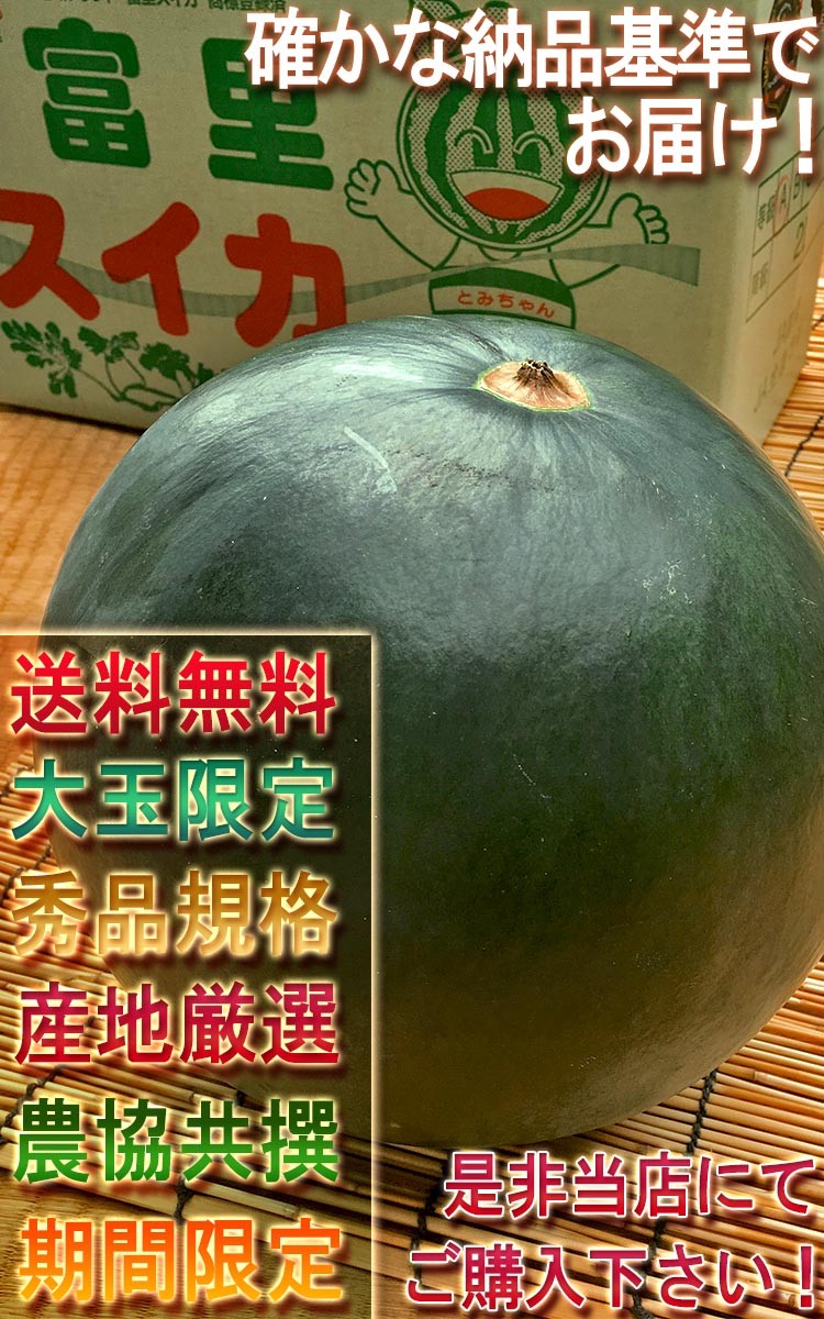 ブラックジャック 種無し西瓜 1玉 約7〜10kg 秀品〜優品 千葉県
