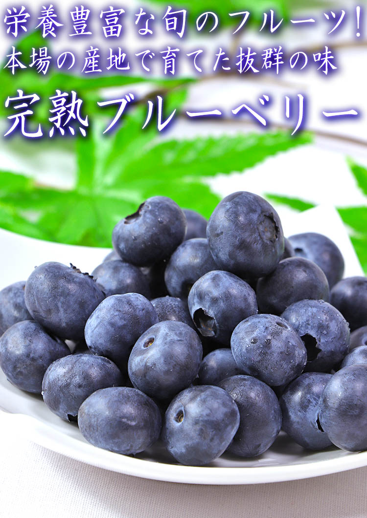 ブルーベリー 青森