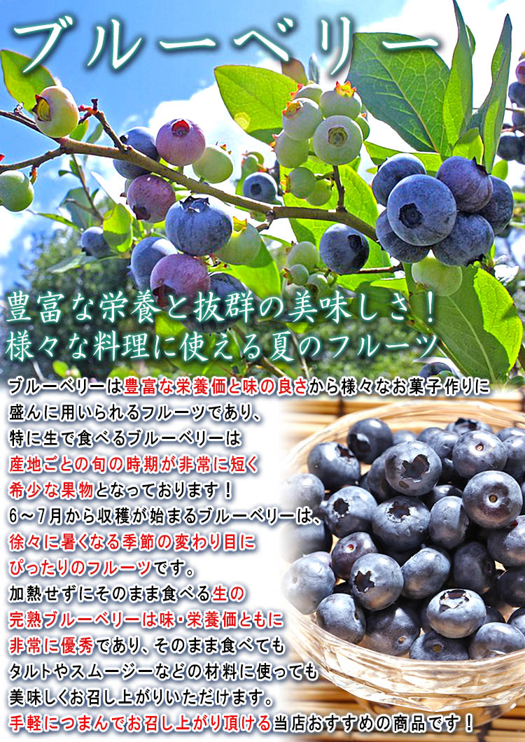 フルーツ ブルーベリー