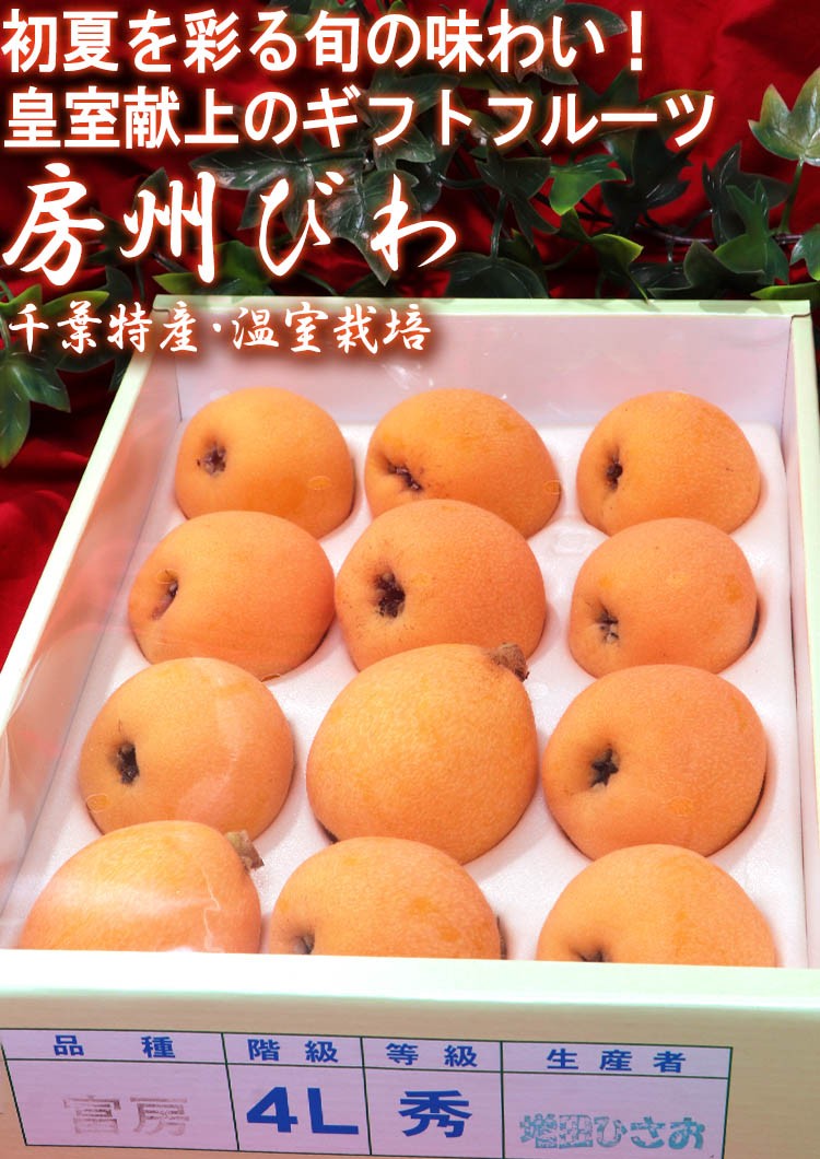 房州びわ 特大